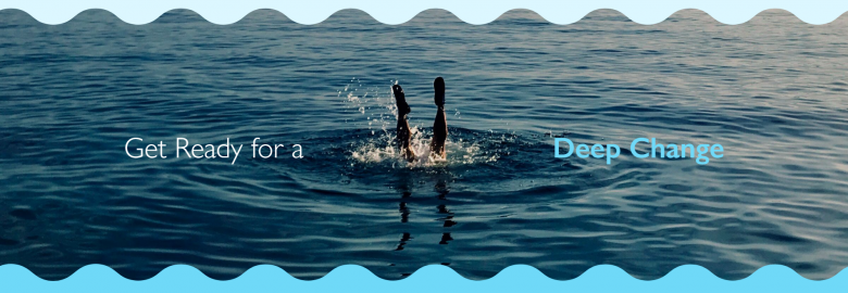 BlueDolphin